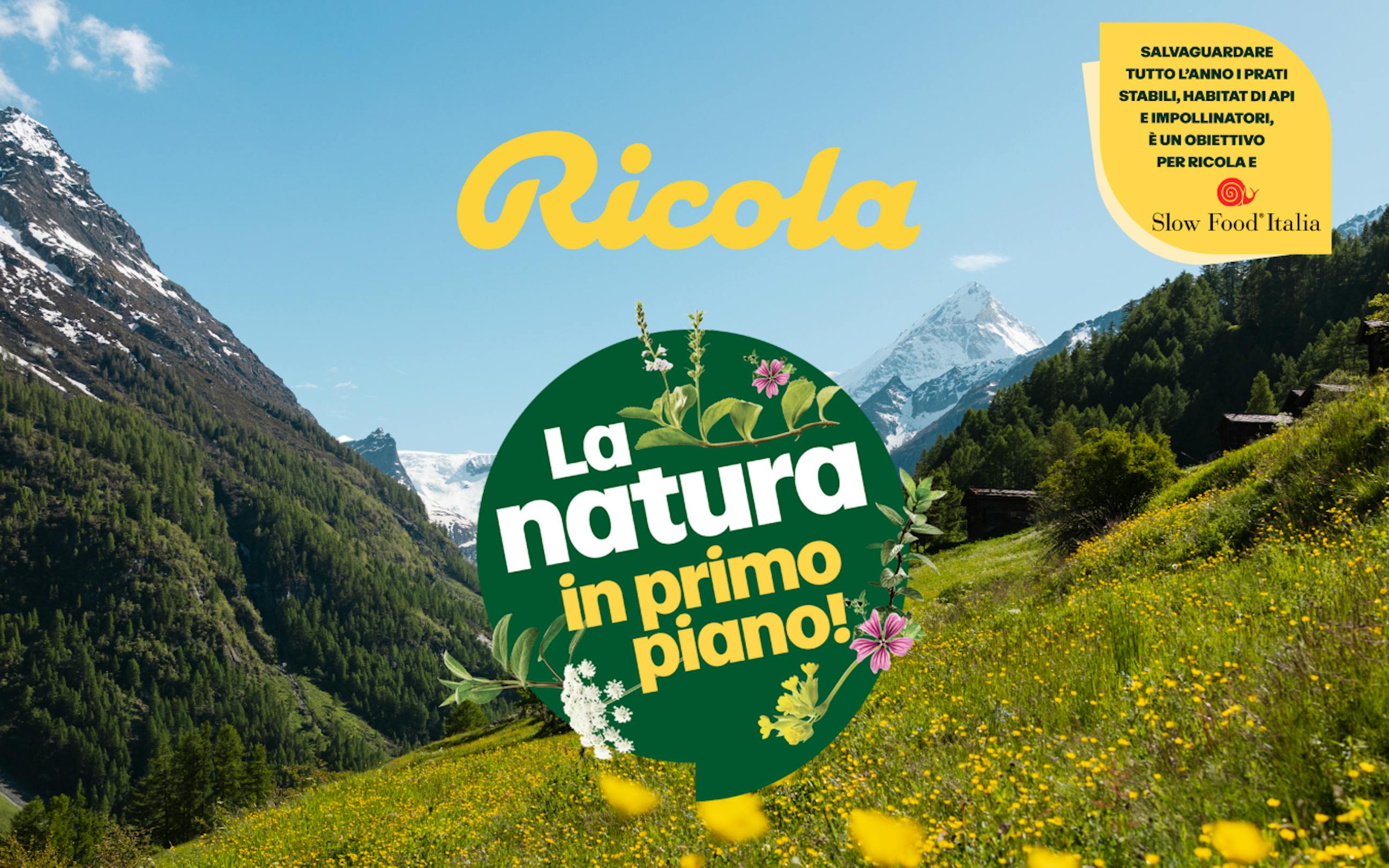 La natura in primo piano